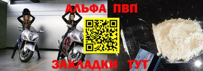 шишки Кингисепп