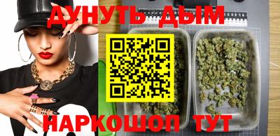шишки Кингисепп