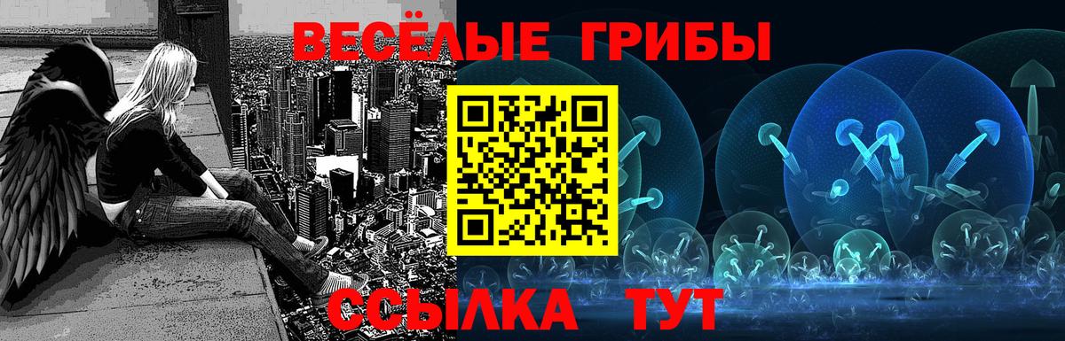 Галлюциногенные грибы MAGIC MUSHROOMS  Вход с VPN  Буйнакск  Псилоцибиновые грибы Magic Shrooms 