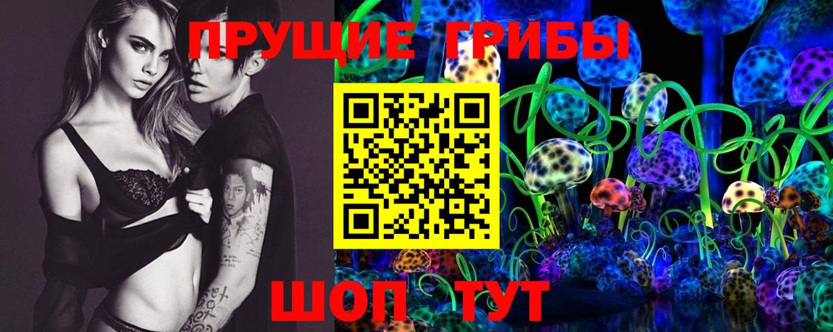 Псилоцибиновые грибы Psilocybe Буйнакск